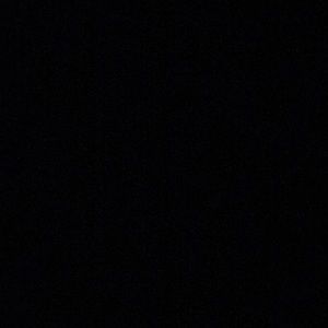 Meet your Posher, Lexi